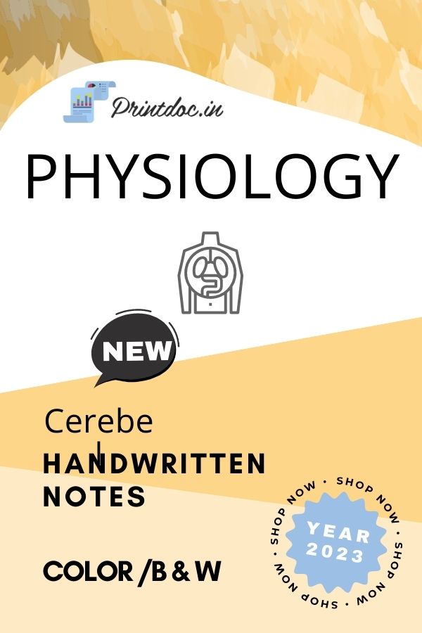 Cerebel - PHYSIOLOGY