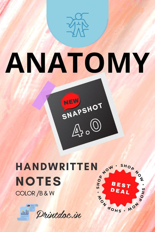 Snapshot 4.0 - ANATOMY