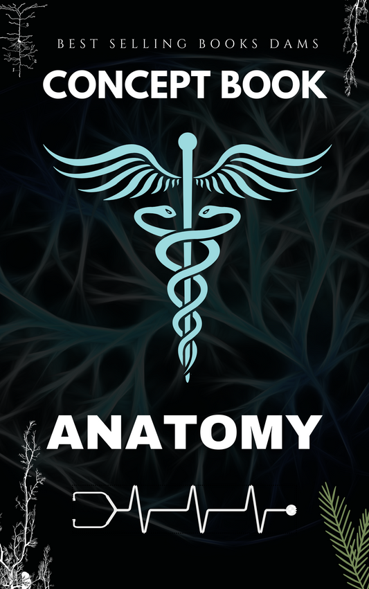 ANATOMY  - DAMS CONCEPT BOOK 2025