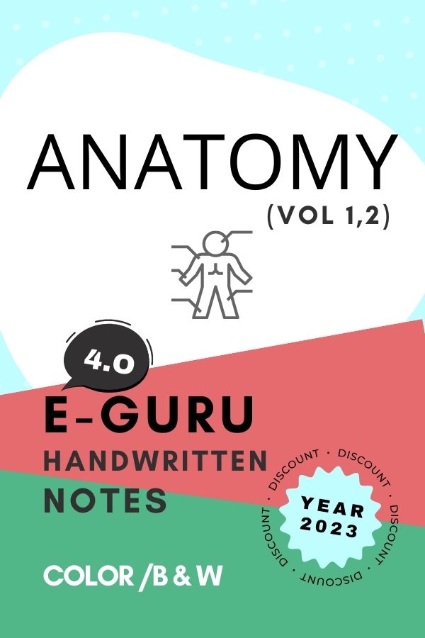 E-GURU 4-0 - ANATOMY