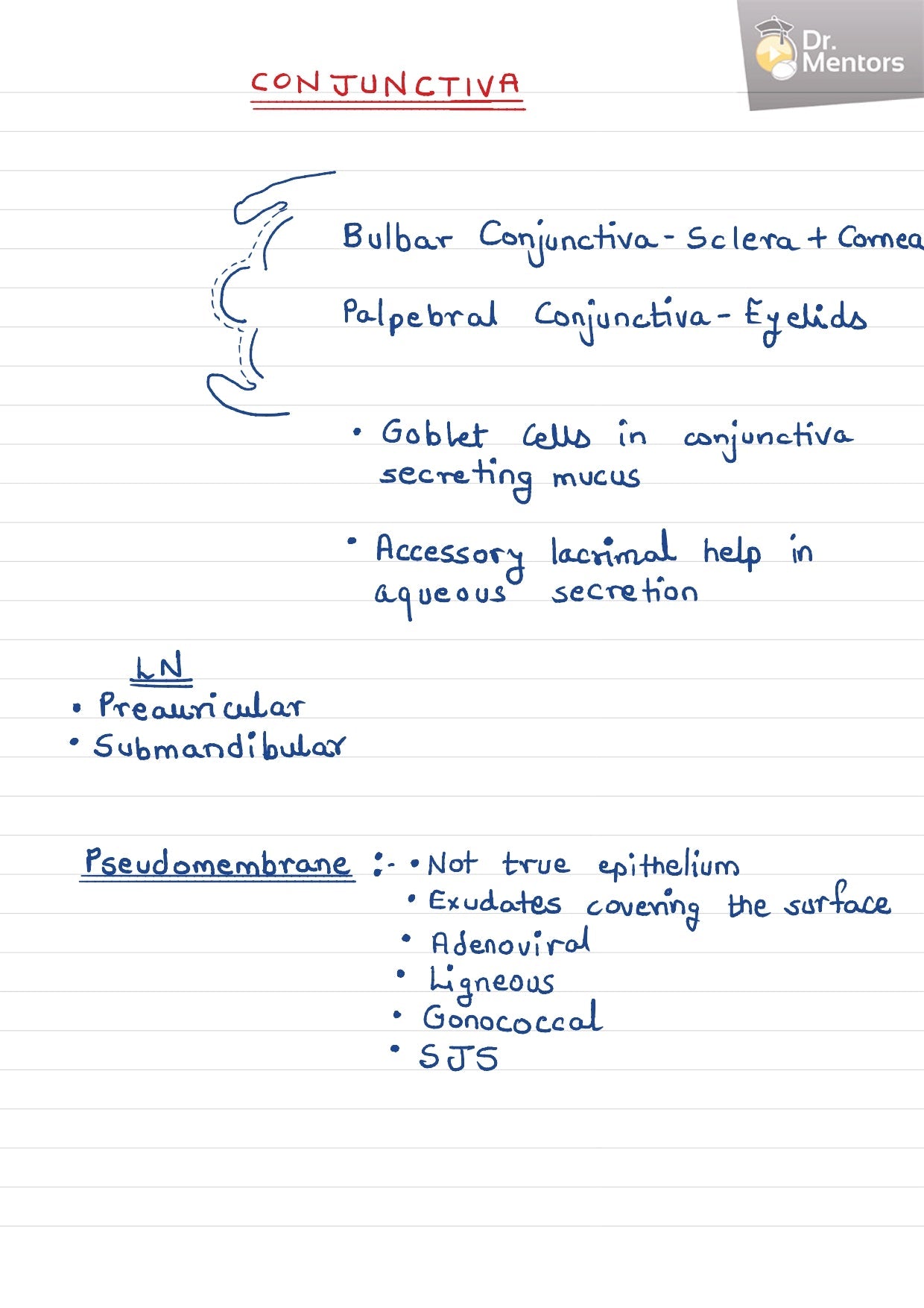 ANATOMY & EMBRYOLOGY - BDS Dental Notes - PrintDoc
