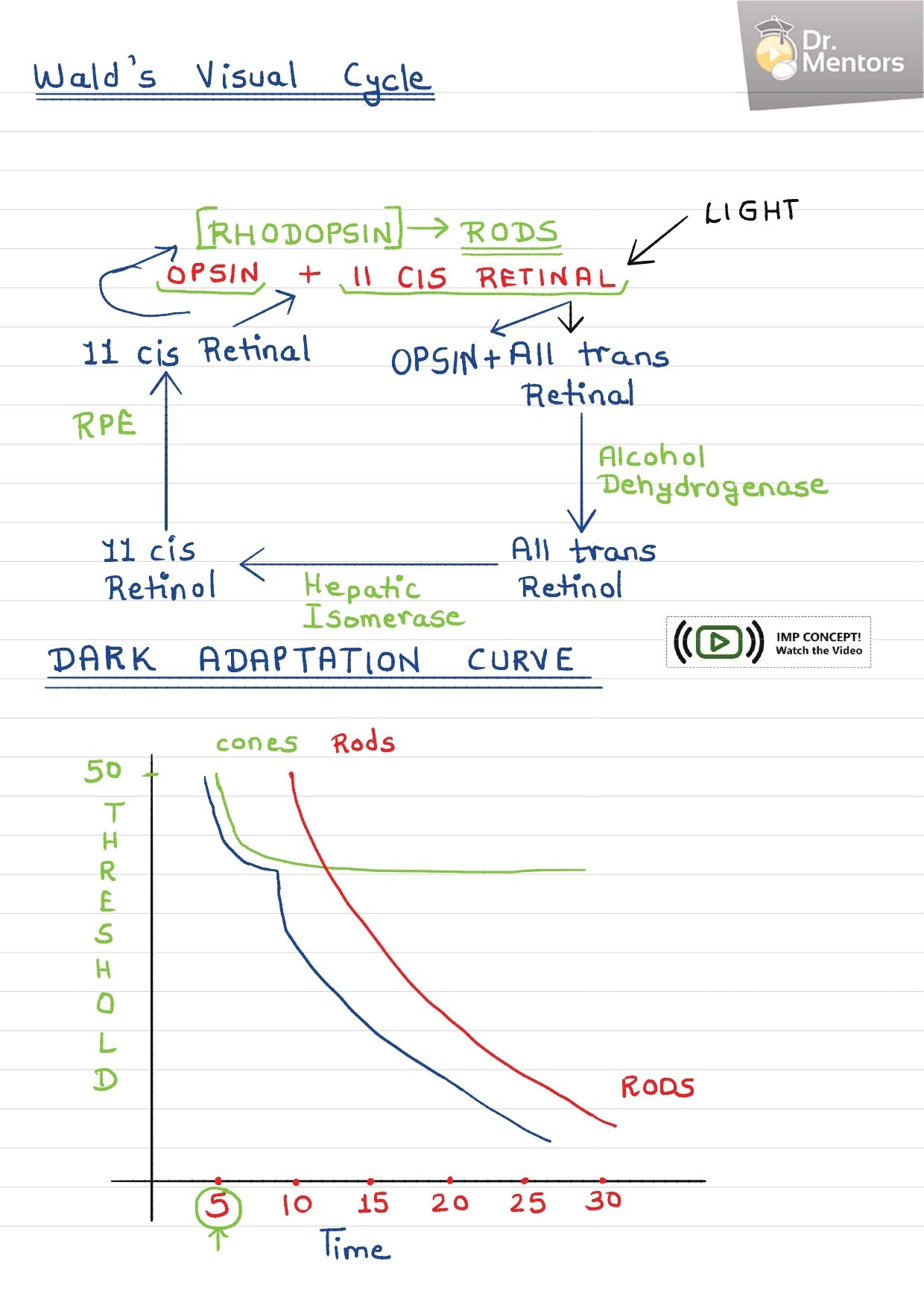 ANATOMY & EMBRYOLOGY - BDS Dental Notes - PrintDoc