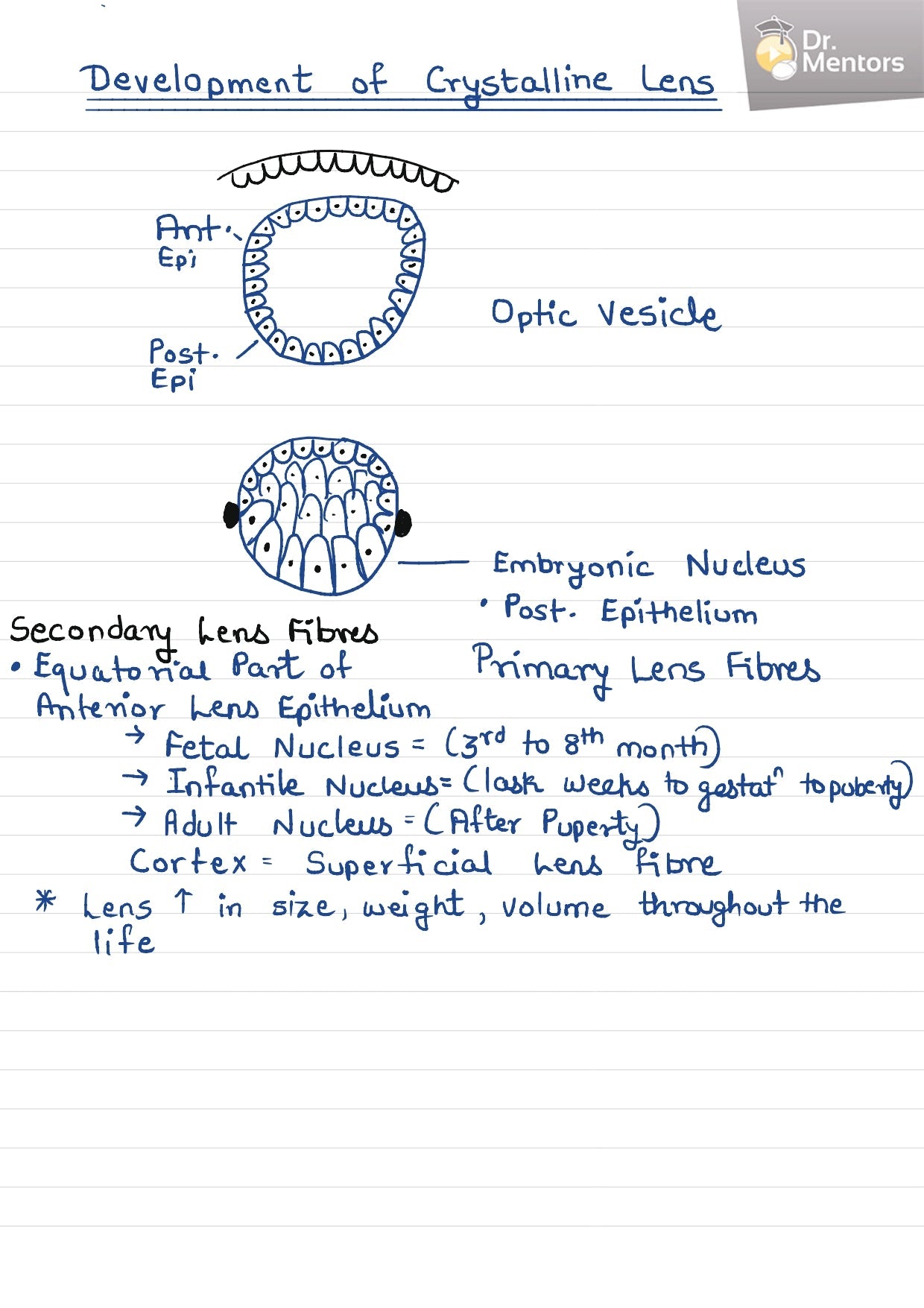 ANATOMY & EMBRYOLOGY - BDS Dental Notes - PrintDoc