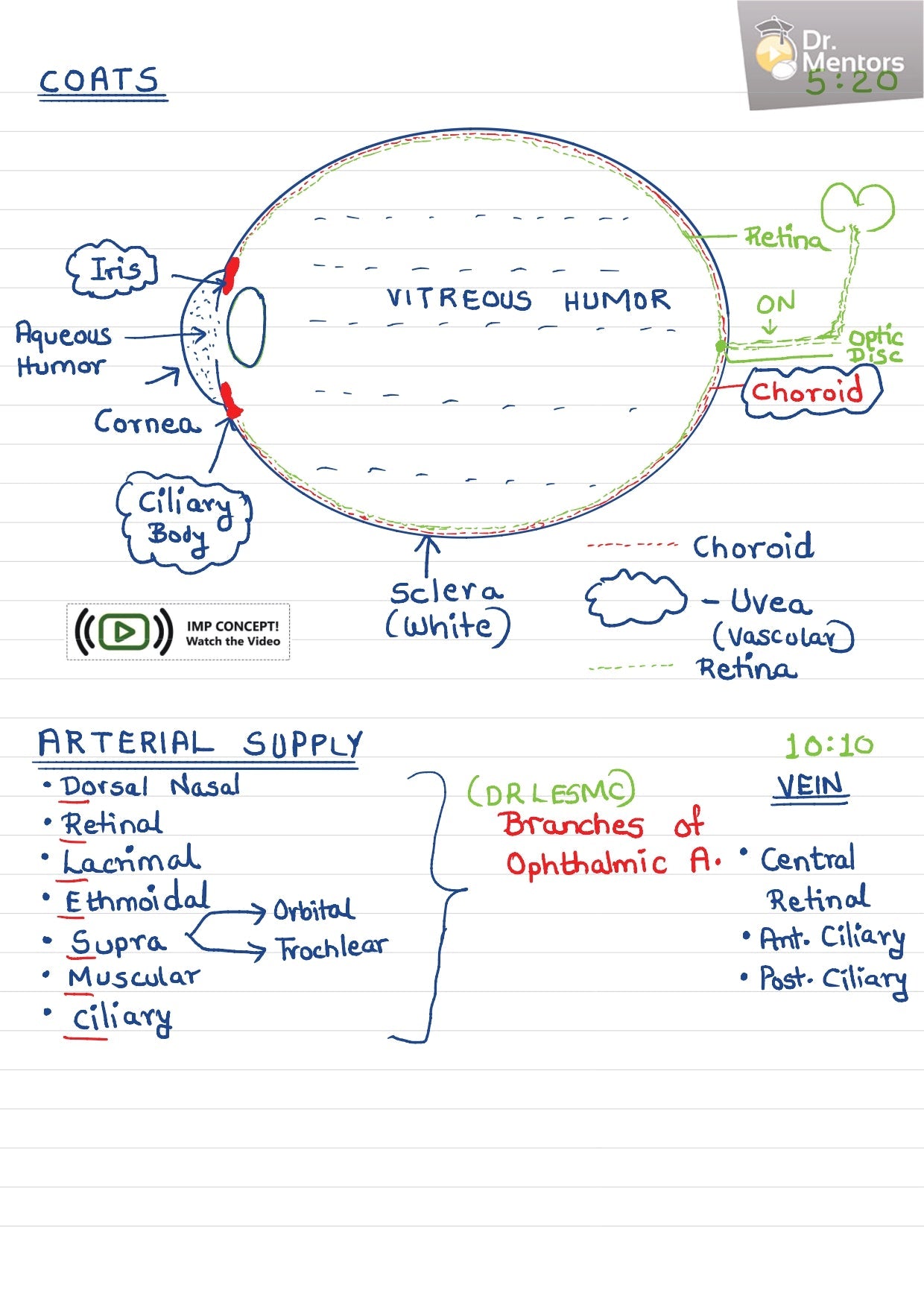 ANATOMY & EMBRYOLOGY - BDS Dental Notes - PrintDoc