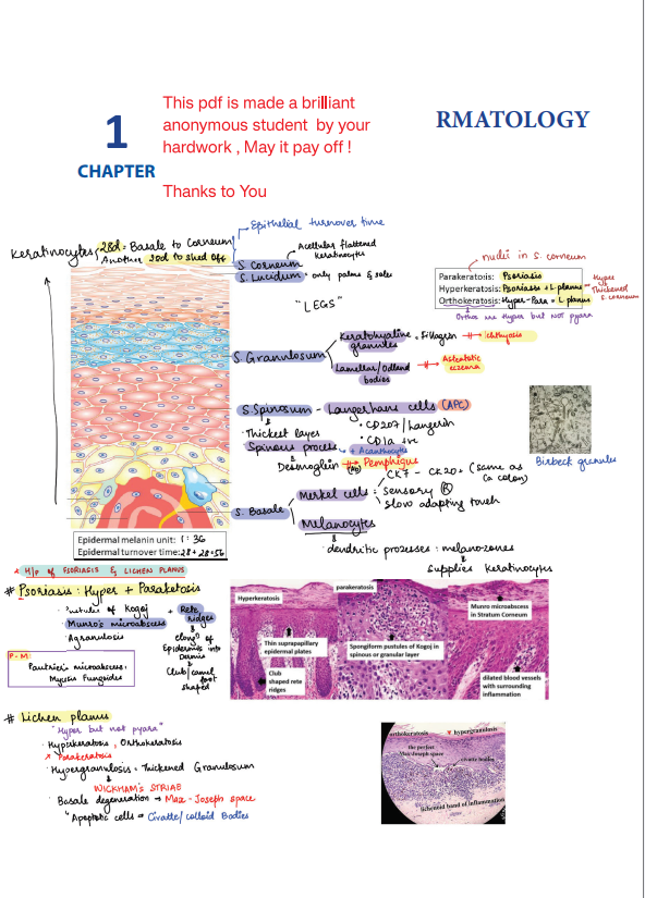 BTR FULLY ANOTATED BY DR. ZAINAB VORA (New Offer) - PrintDoc