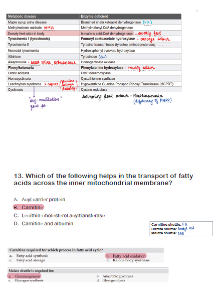 BTR MEGA BONUS ANNOTATED BY DR. ZAINAB VORA (New Offer) - PrintDoc