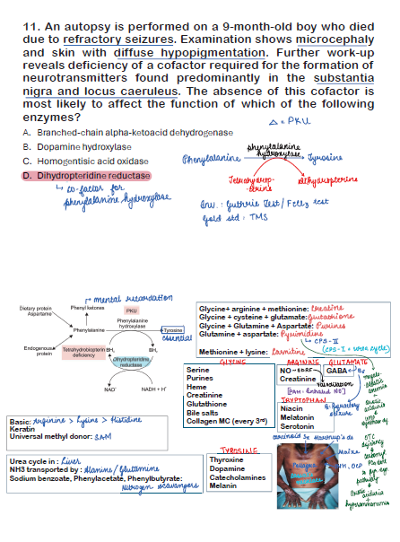 BTR MEGA BONUS ANNOTATED BY DR. ZAINAB VORA (New Offer) - PrintDoc