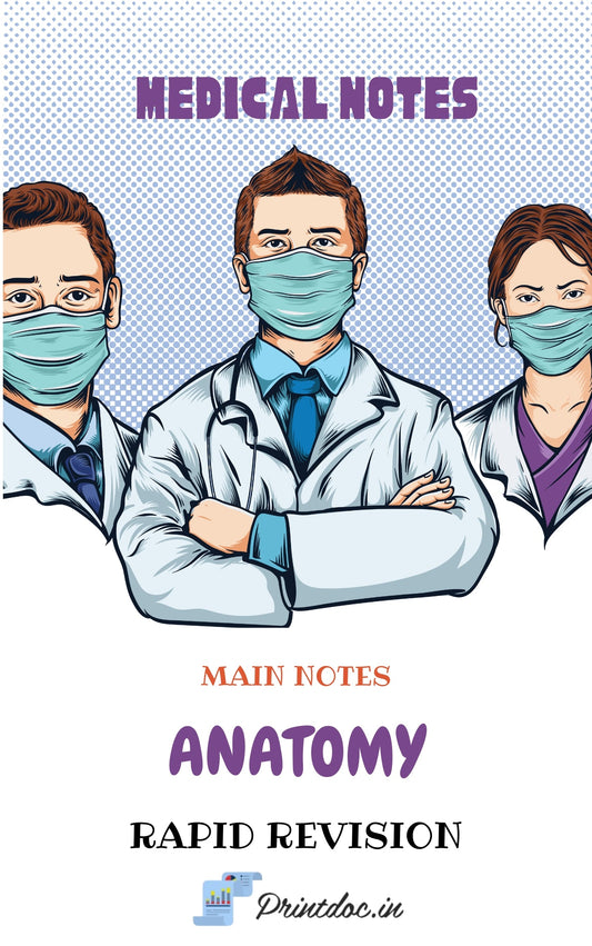 Cerebel RR - ANATOMY - PrintDoc