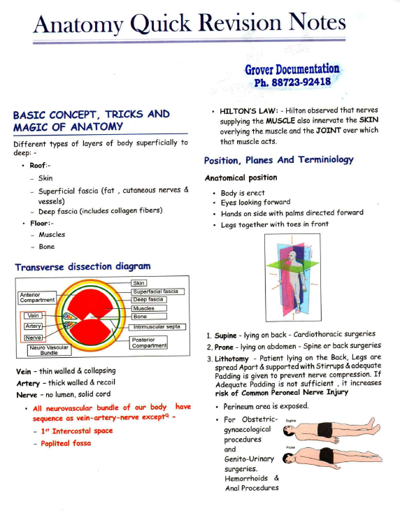 Cerebellum Rapid Revision 5-Book Set: Comprehensive Quick Review for NEET PG, INI-CET & FMGE Exam (New Offer) - PrintDoc