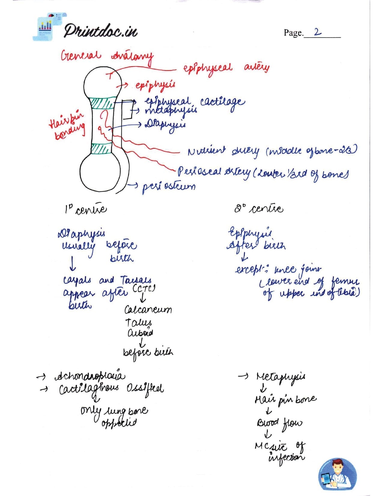DAMS - ANATOMY NOTES 2022-23 - PrintDoc