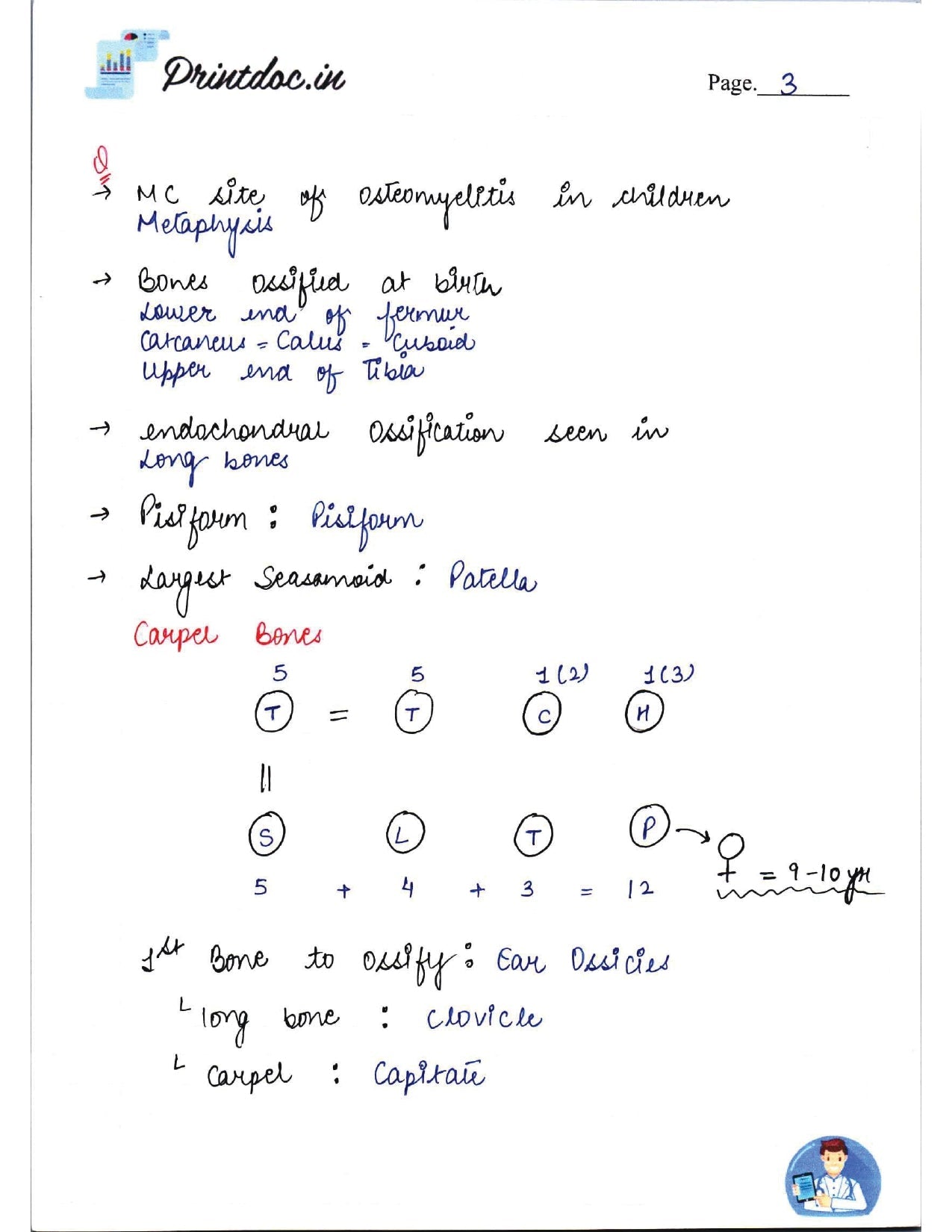 DAMS - ANATOMY NOTES 2022-23 - PrintDoc