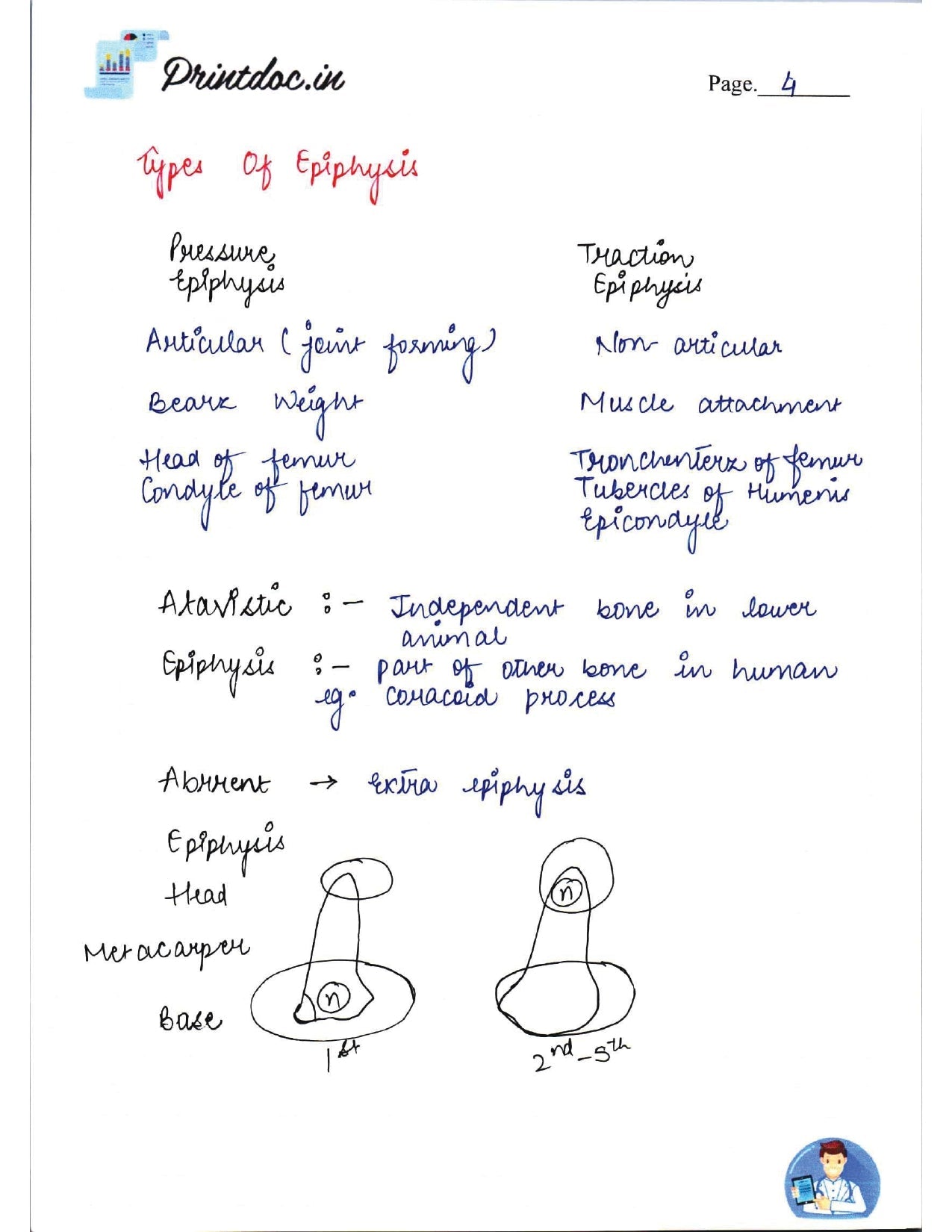 DAMS - ANATOMY NOTES 2022-23 - PrintDoc