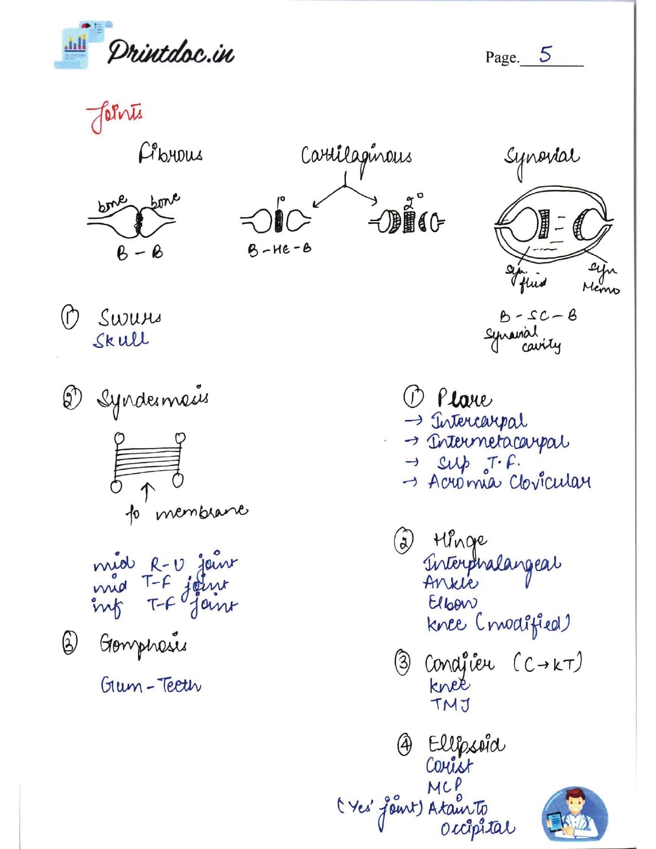 DAMS - ANATOMY NOTES 2022-23 - PrintDoc