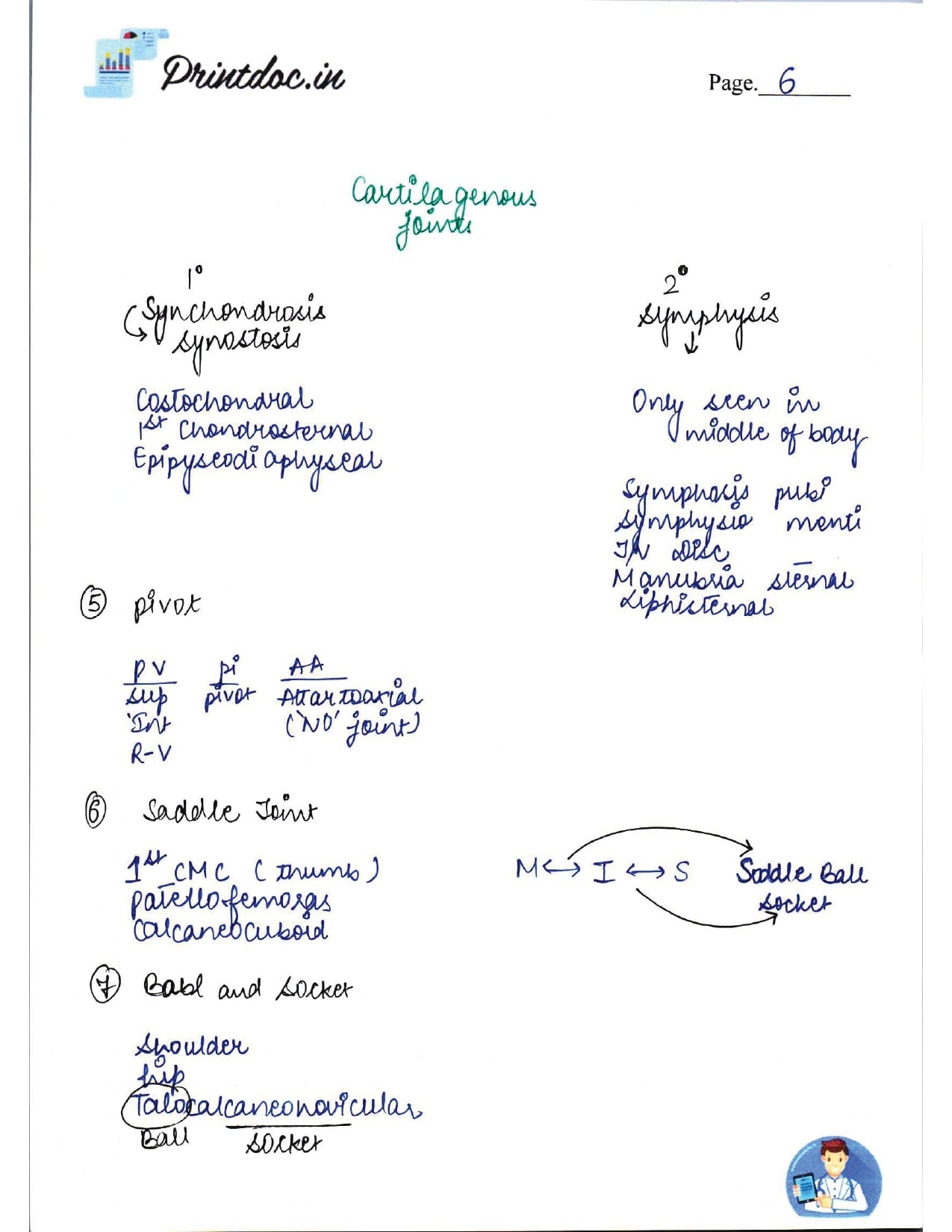 DAMS - ANATOMY NOTES 2022-23 - PrintDoc