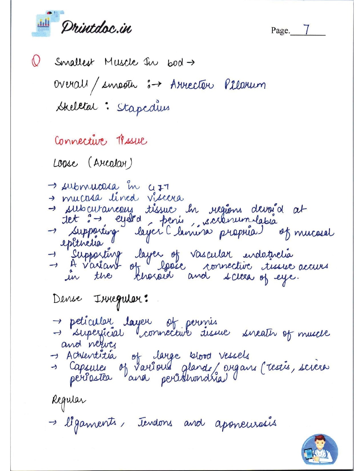 DAMS - ANATOMY NOTES 2022-23 - PrintDoc