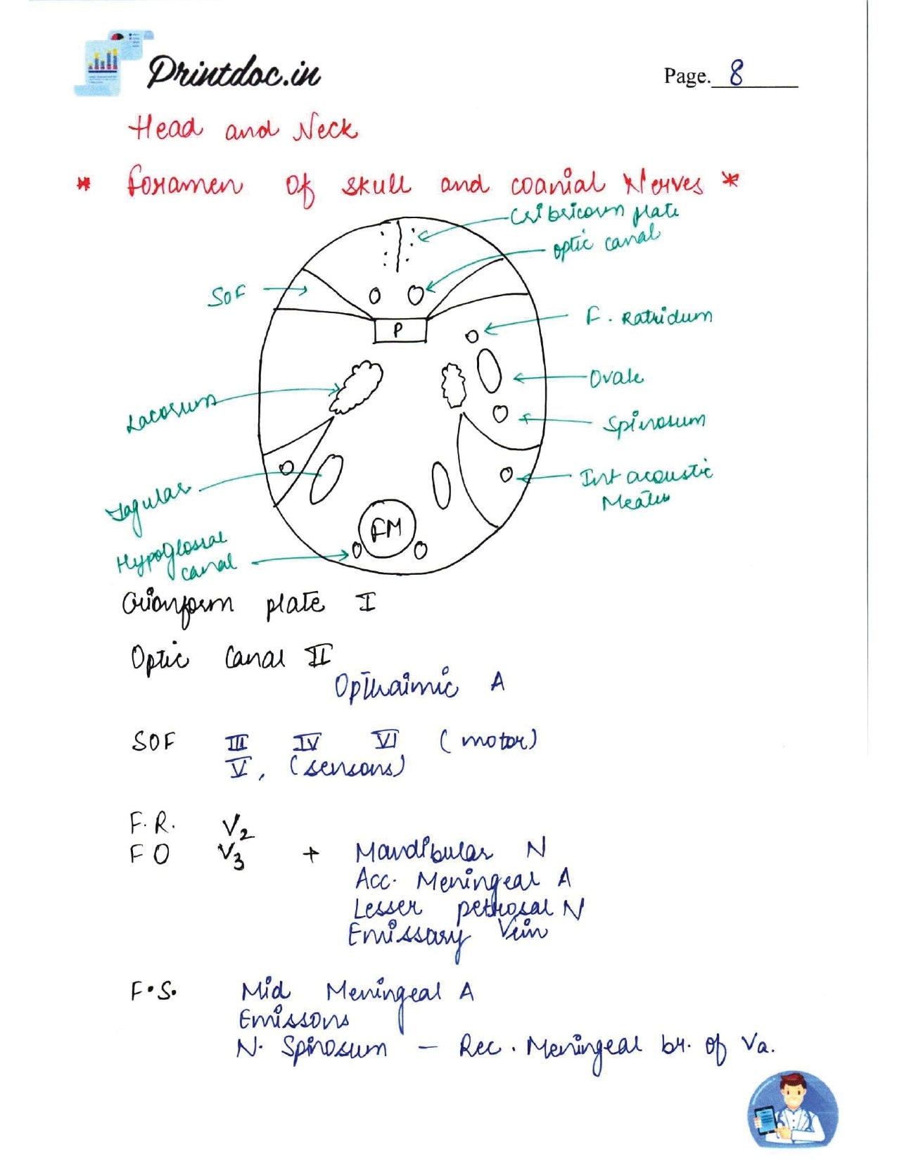 DAMS - ANATOMY NOTES 2022-23 - PrintDoc