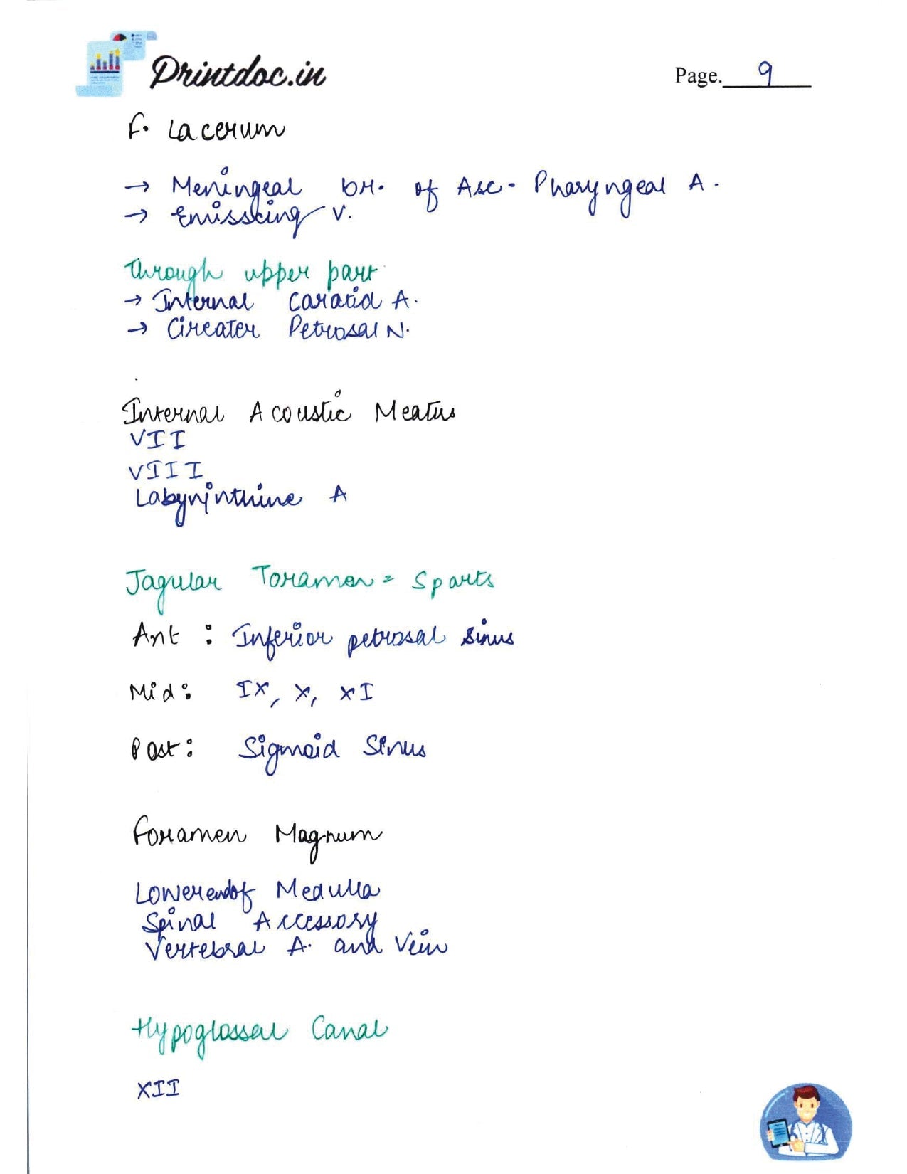 DAMS - ANATOMY NOTES 2022-23 - PrintDoc