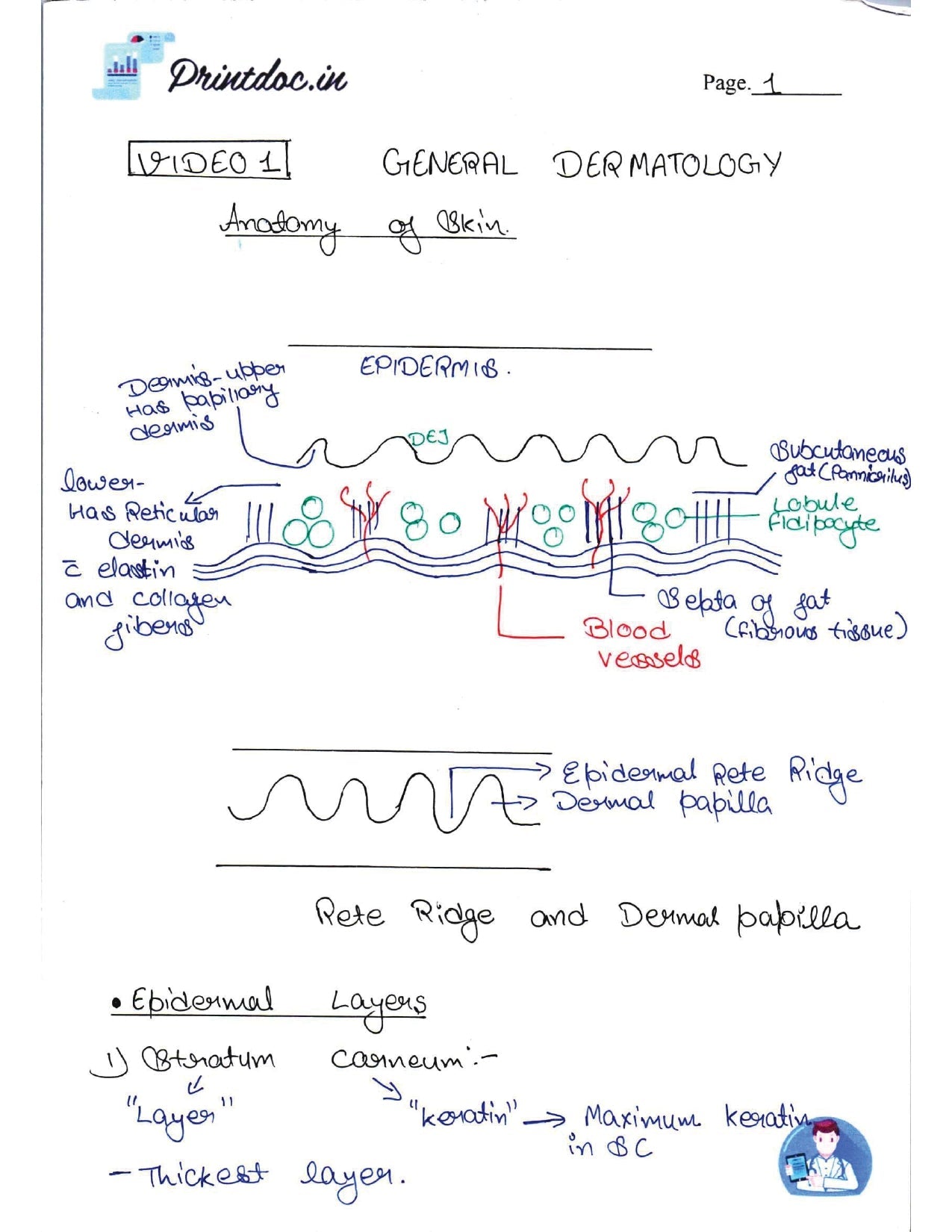 DAMS - DERMATOLOGY NOTES 2022-23 - PrintDoc
