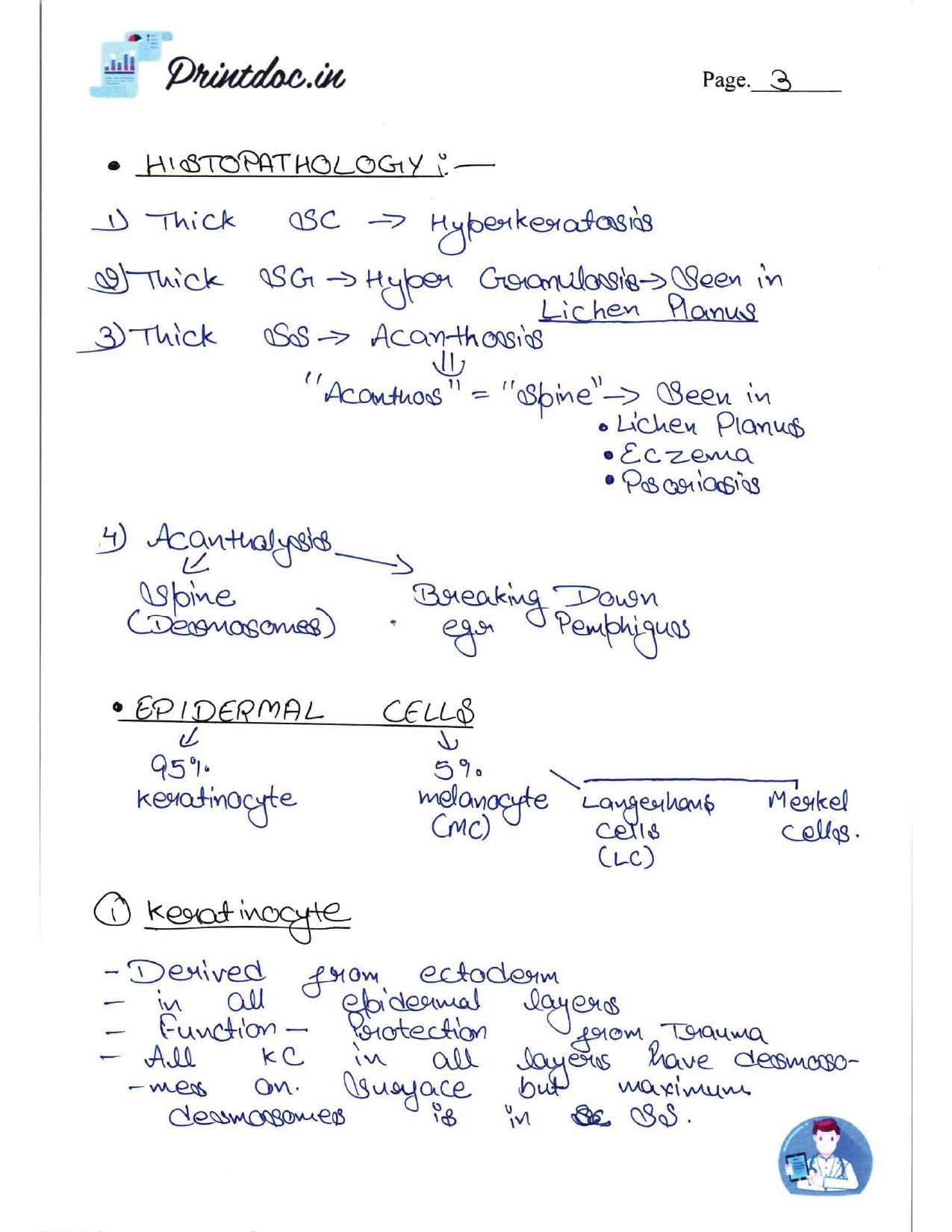 DAMS - DERMATOLOGY NOTES 2022-23 - PrintDoc