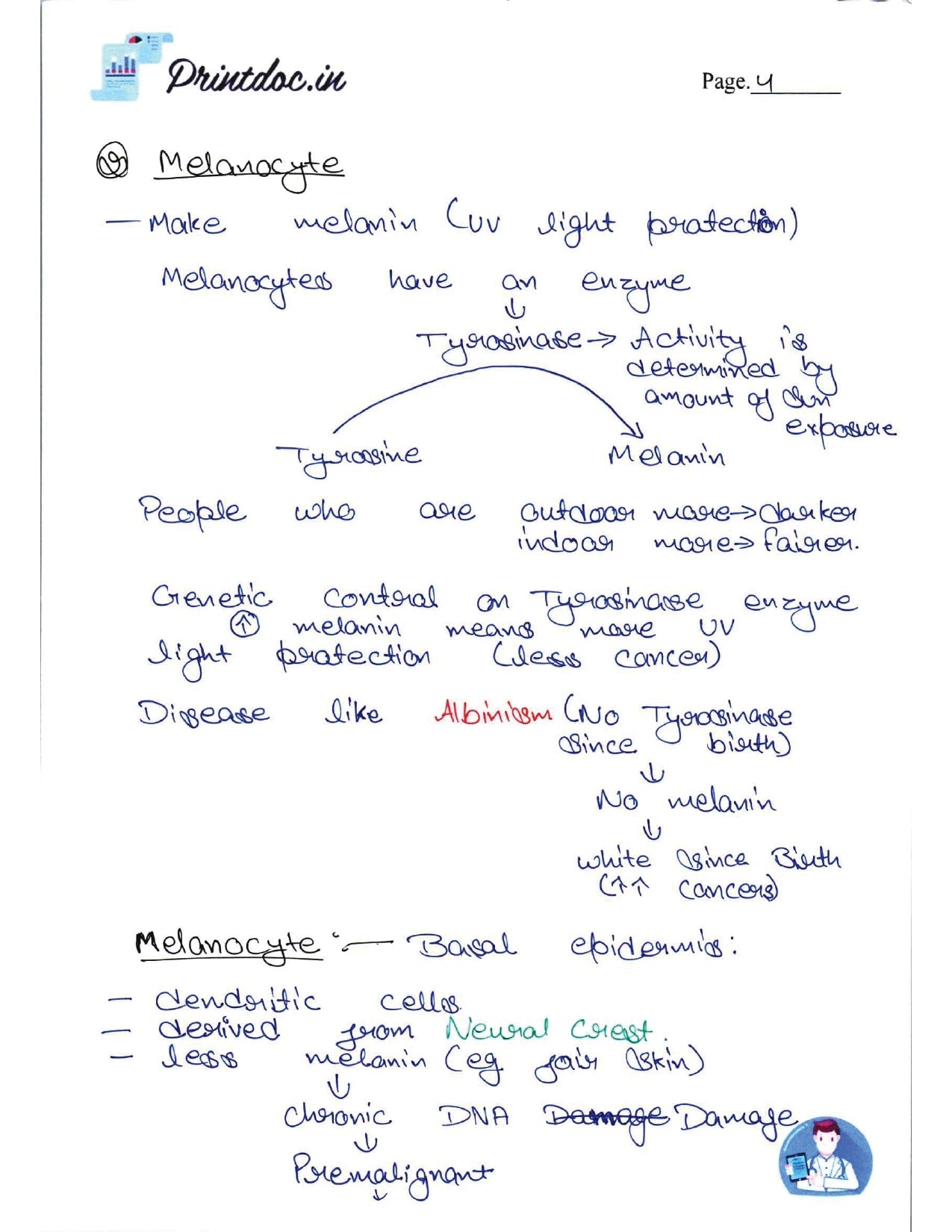 DAMS - DERMATOLOGY NOTES 2022-23 - PrintDoc