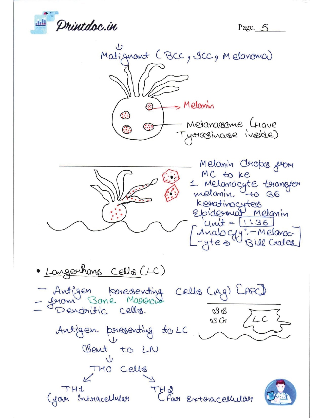 DAMS - DERMATOLOGY NOTES 2022-23 - PrintDoc