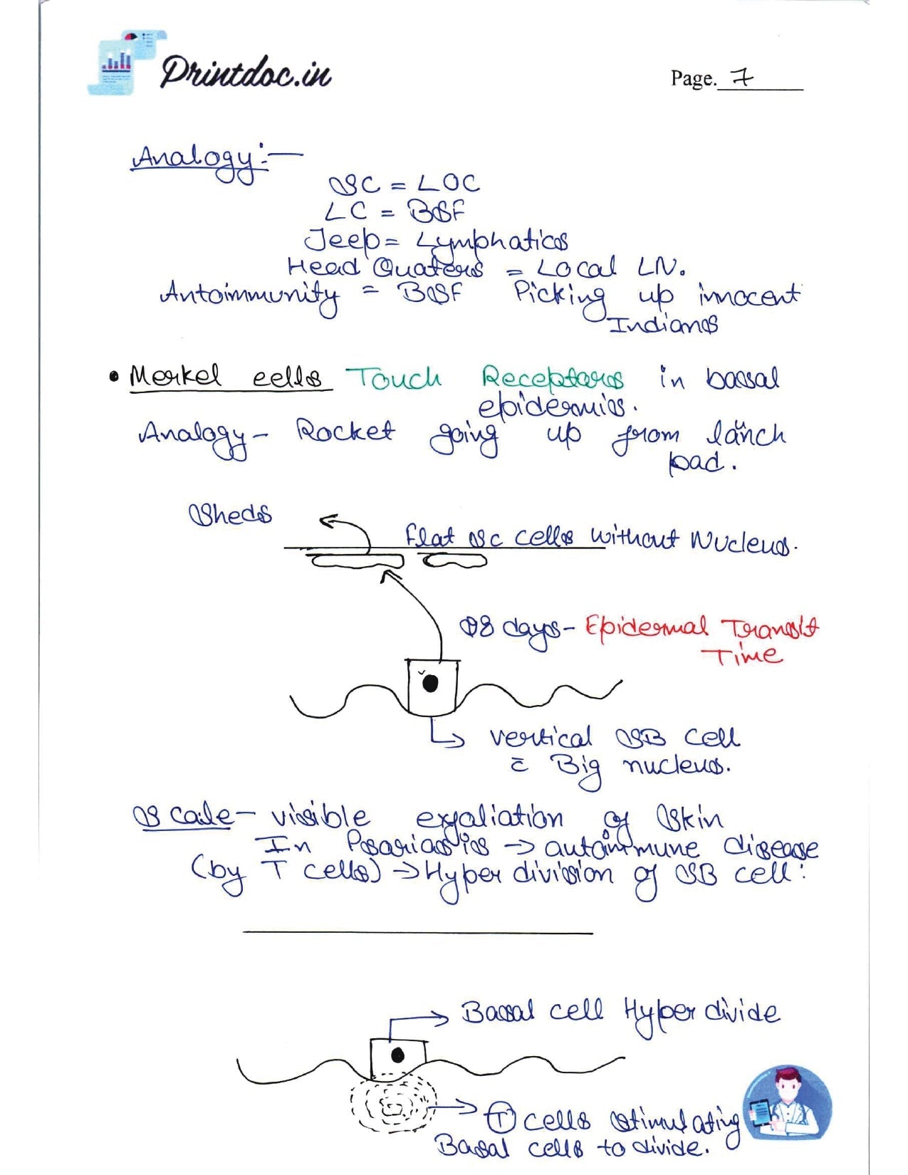 DAMS - DERMATOLOGY NOTES 2022-23 - PrintDoc