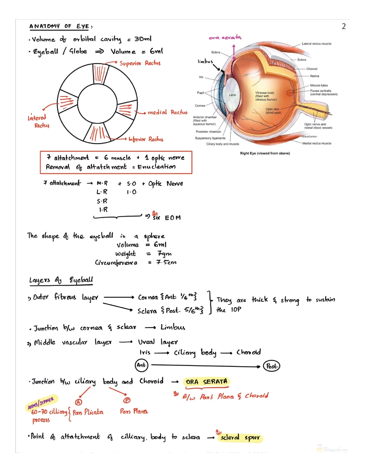 DAMS - OPHTHALMOLOGY NOTES 2022-23 - PrintDoc