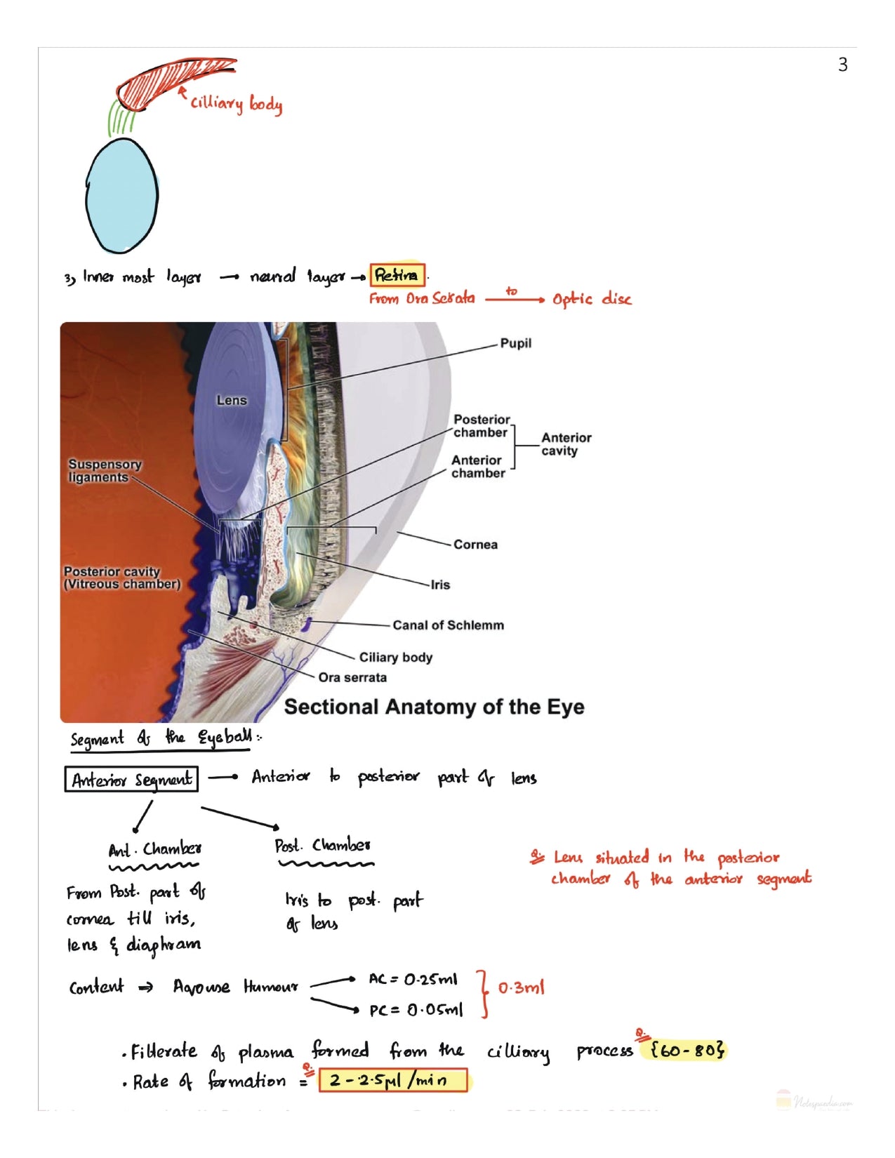 DAMS - OPHTHALMOLOGY NOTES 2022-23 - PrintDoc