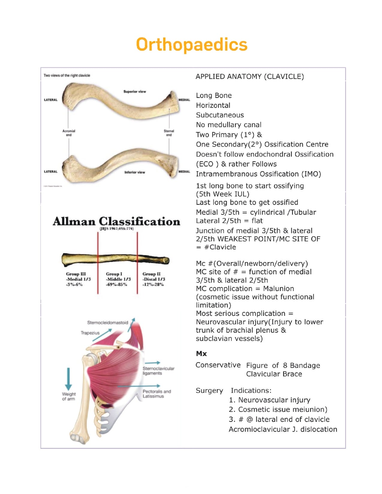 DAMS - ORTHOPAEDICS NOTES 2022-23 - PrintDoc
