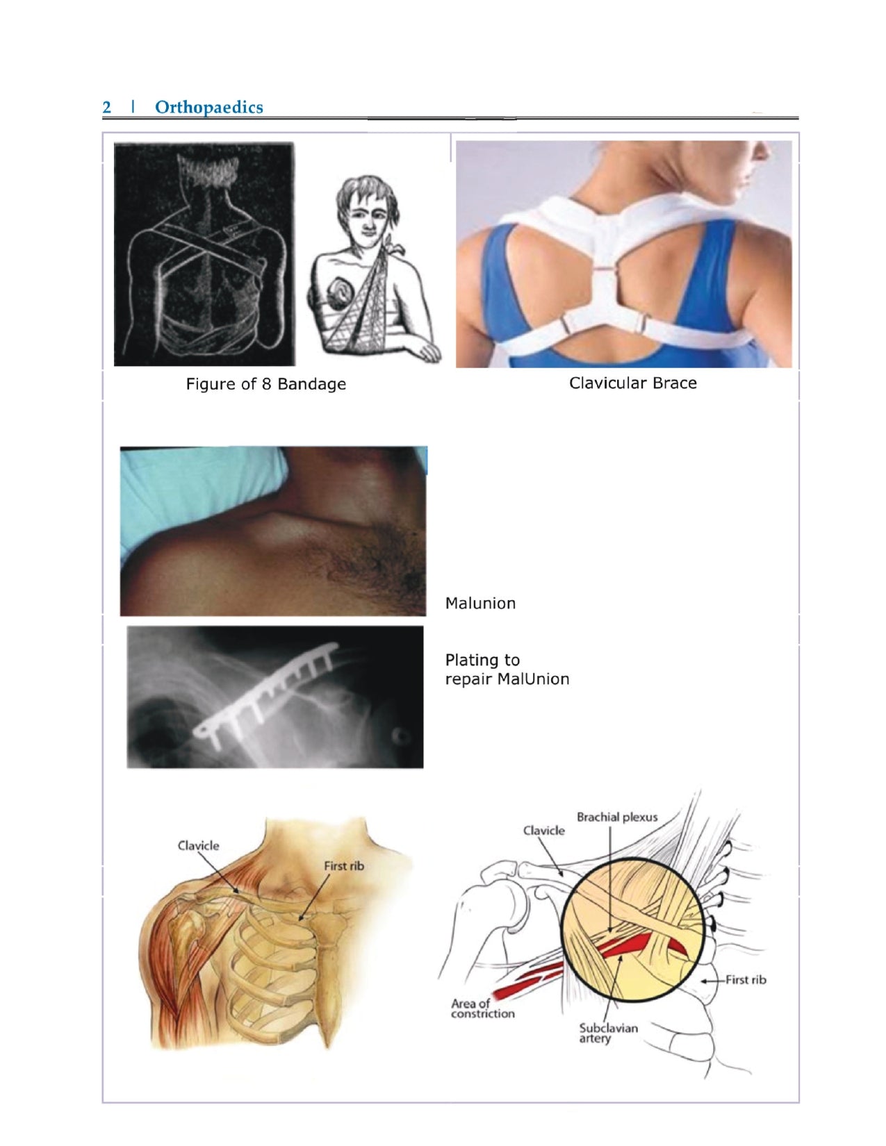 DAMS - ORTHOPAEDICS NOTES 2022-23 - PrintDoc