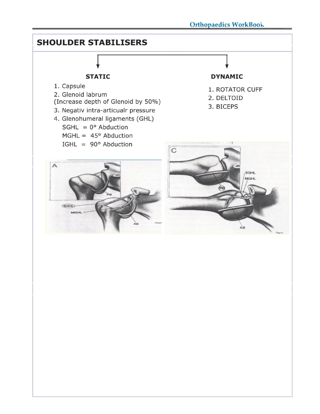 DAMS - ORTHOPAEDICS NOTES 2022-23 - PrintDoc