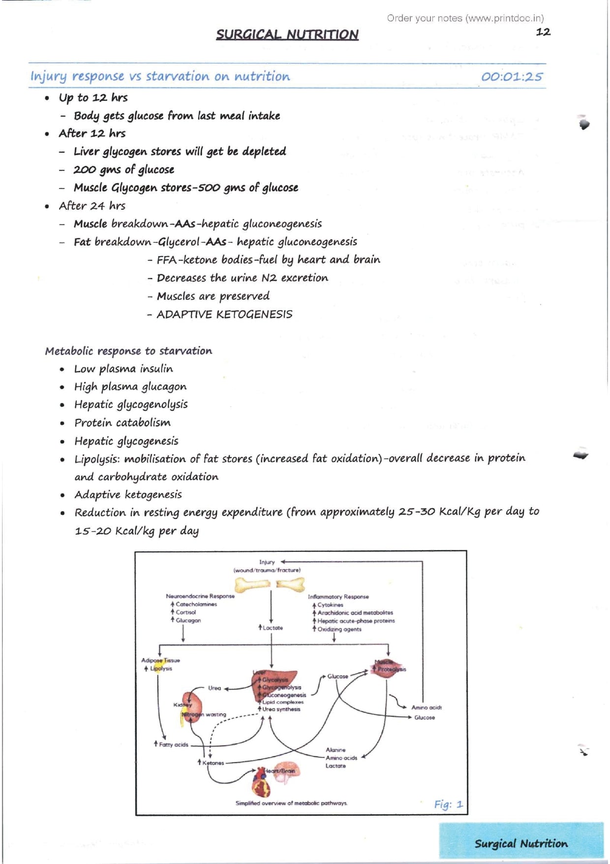 Dr. Tutorial (Surgery) Part 1 - PrintDoc