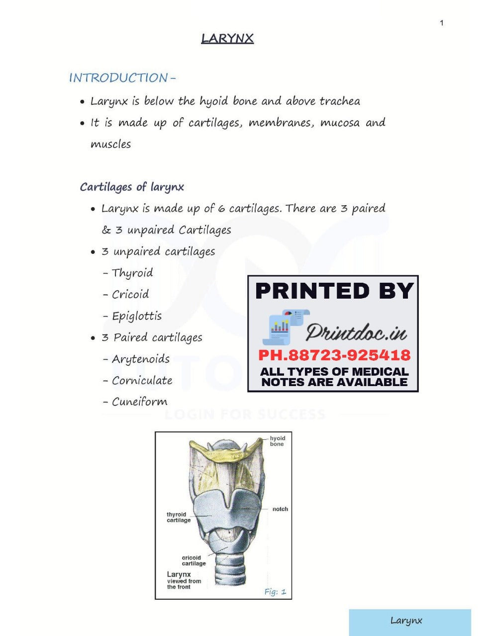 ENT BY RAJEEV DHAWAN NEET-PG NOTES 2024-2025 - PrintDoc