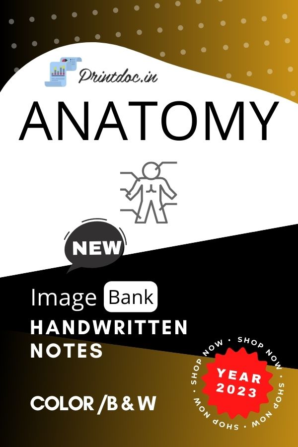 Image Bank - ANATOMY Notes 2023 - PrintDoc