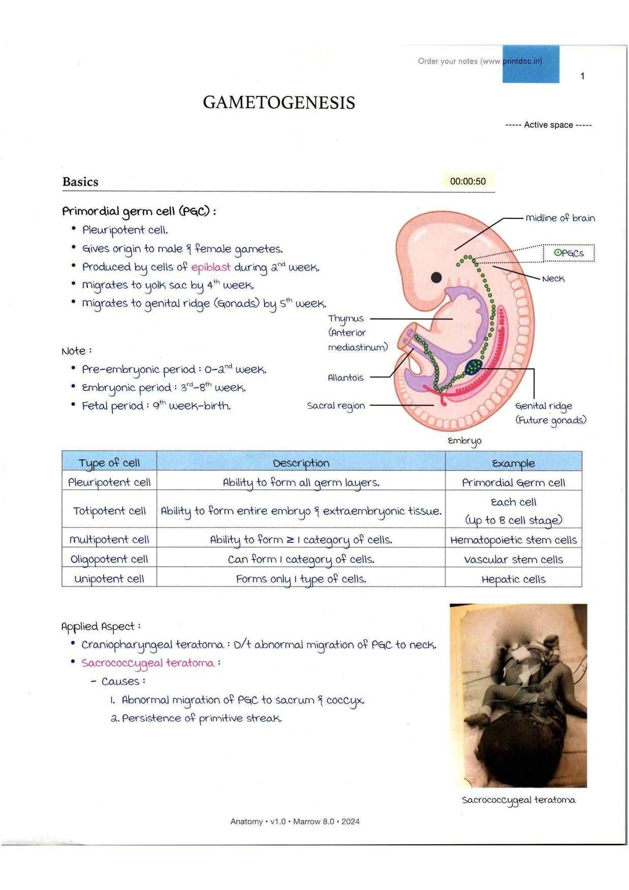 M8 First-Year Notes (Anatomy, Physiology, and Biochemistry) For NEET-PG (New Offer) - PrintDoc