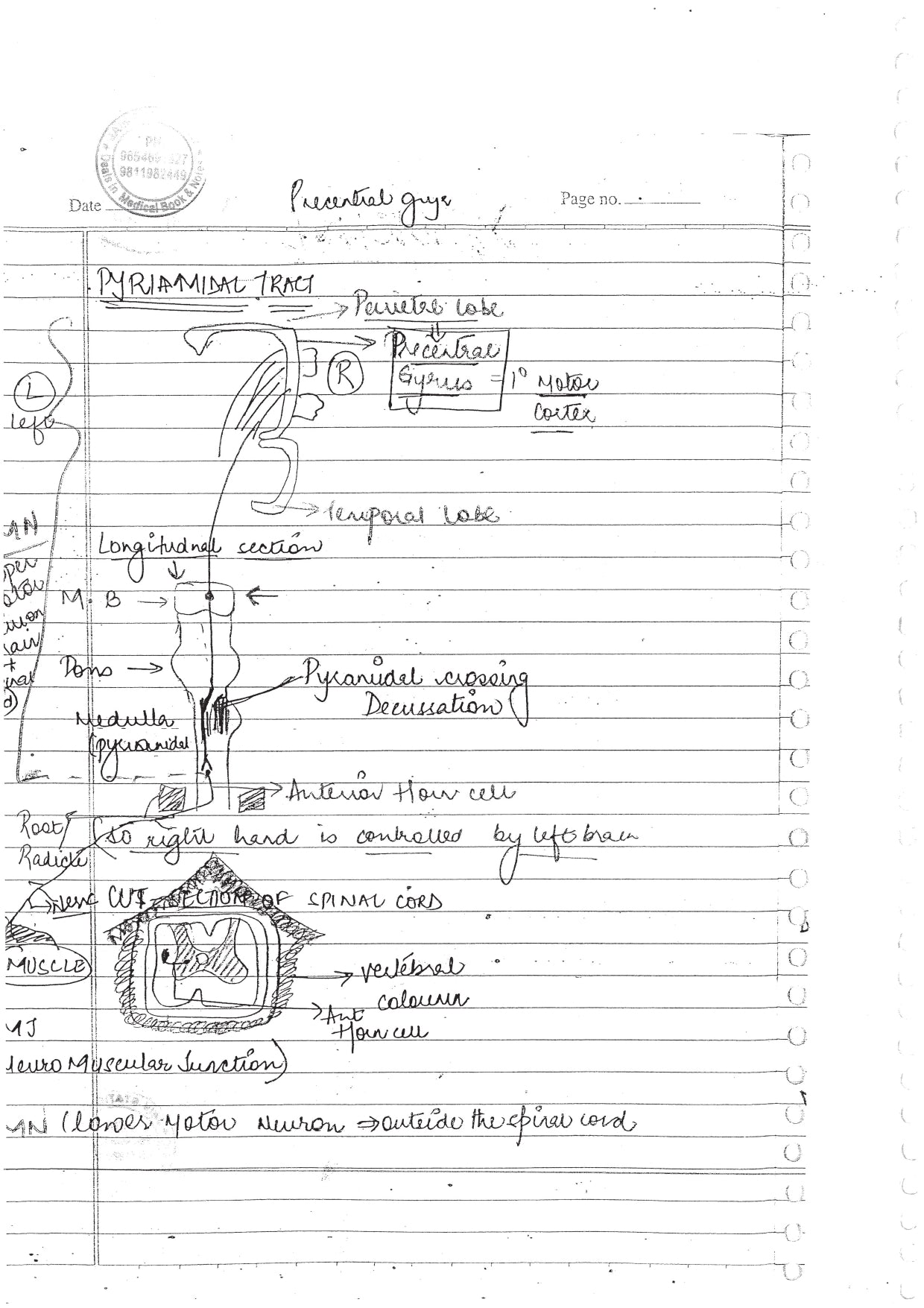 MEDICINE - BDS Dental Notes - PrintDoc
