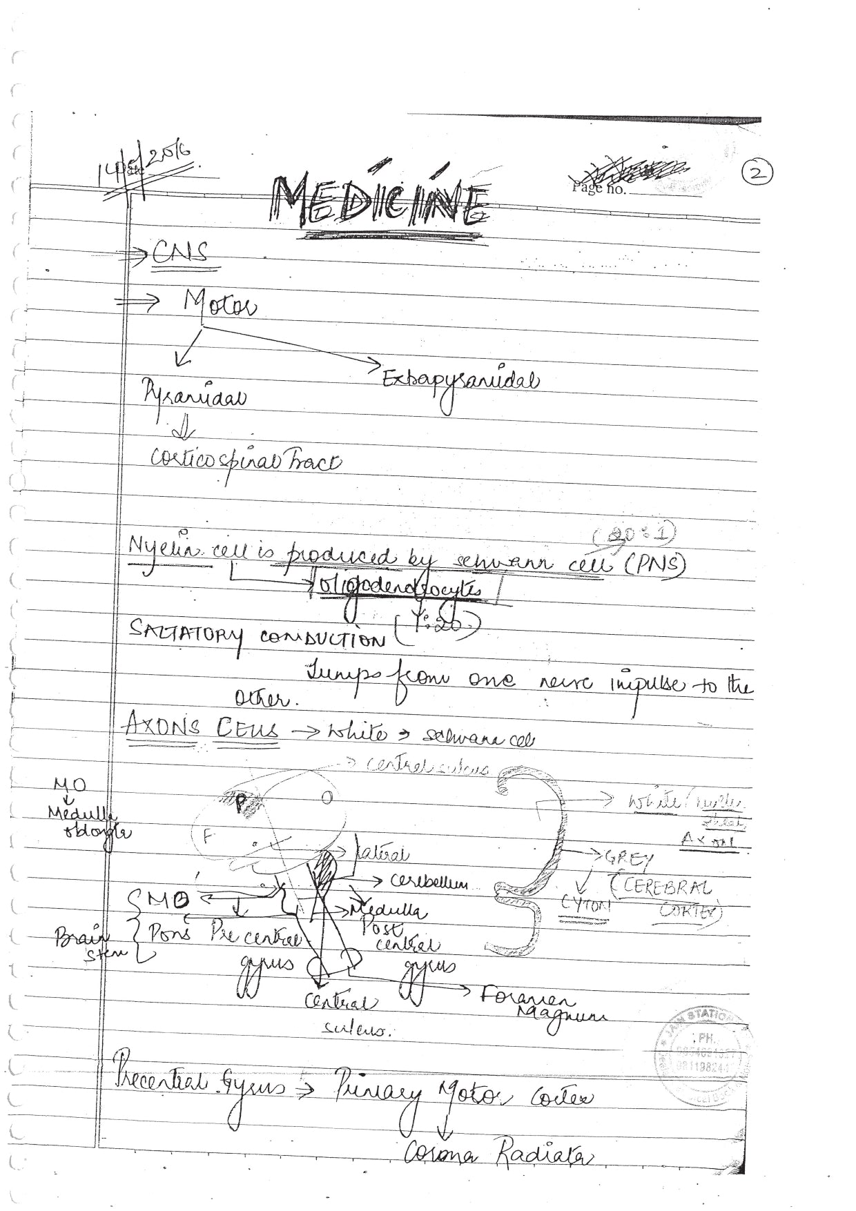MEDICINE - BDS Dental Notes - PrintDoc