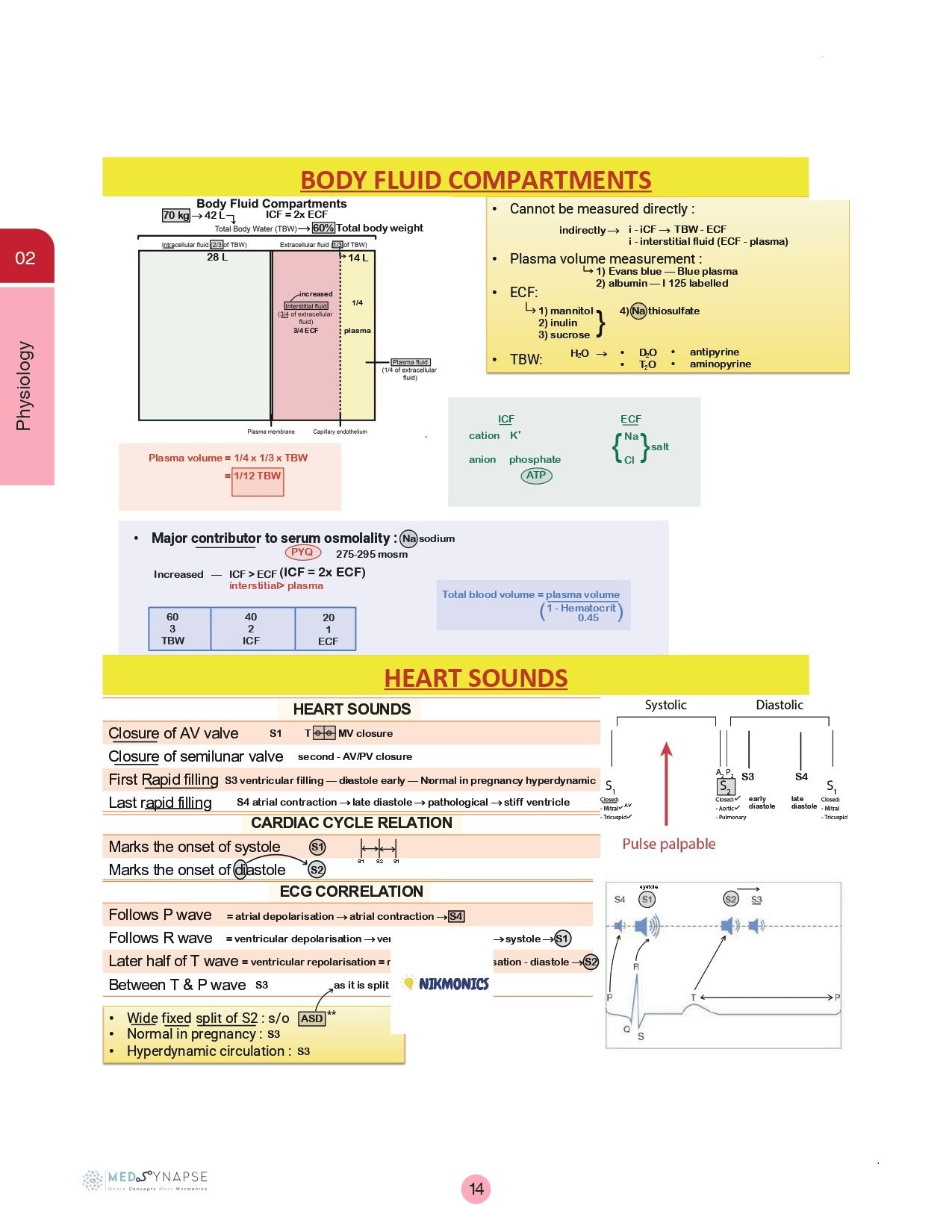 Magic Book – Sure Shot 5.0 by Dr. Nikita for Neet-PG by Dr. Zainab Vora (New Offer) - PrintDoc