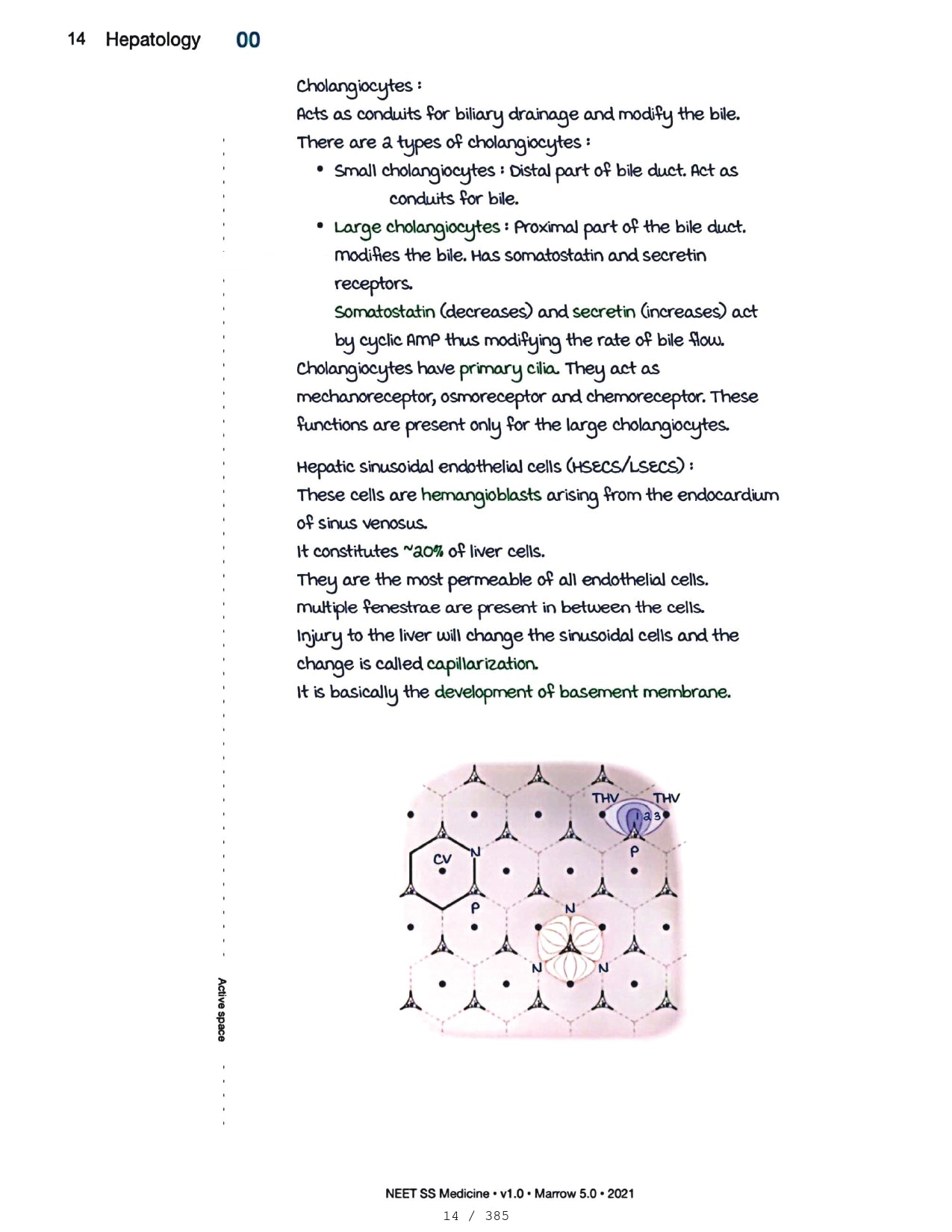 Medicine Neet SS - HEPATOLOGY - PrintDoc