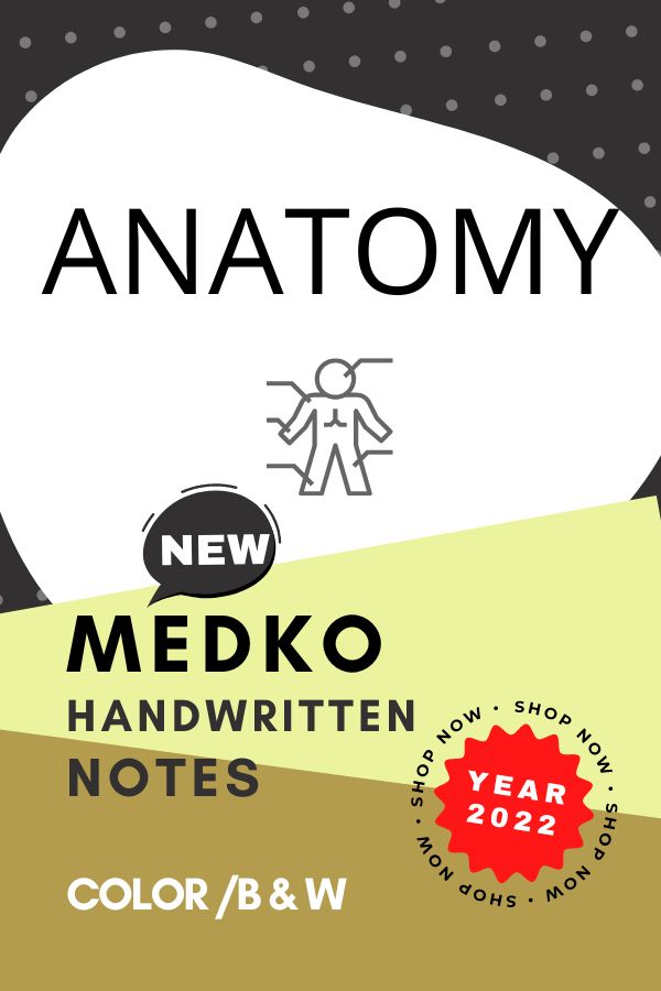 Medko - ANATOMY - PrintDoc