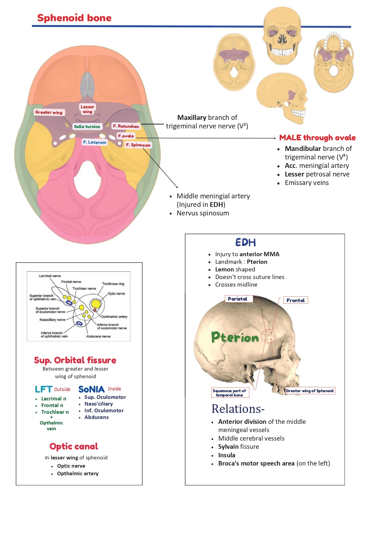 BTR BASED NOTES BY Dr. Ananya Sahoo