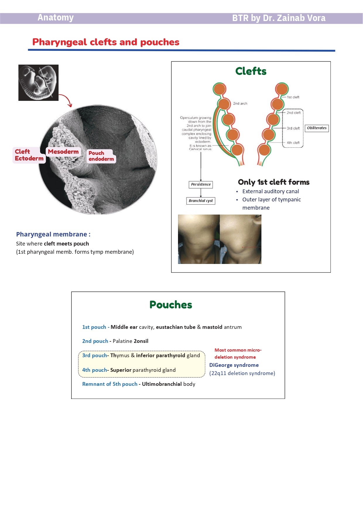BTR BASED NOTES BY Dr. Ananya Sahoo