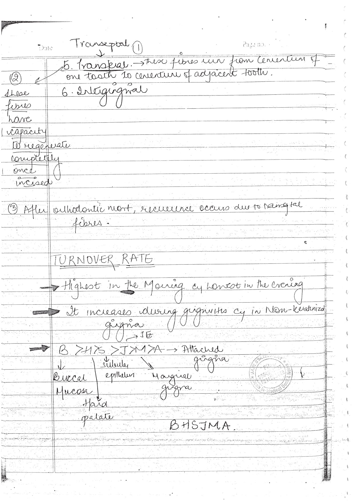 PERADONTIUM - BDS Dental Notes - PrintDoc