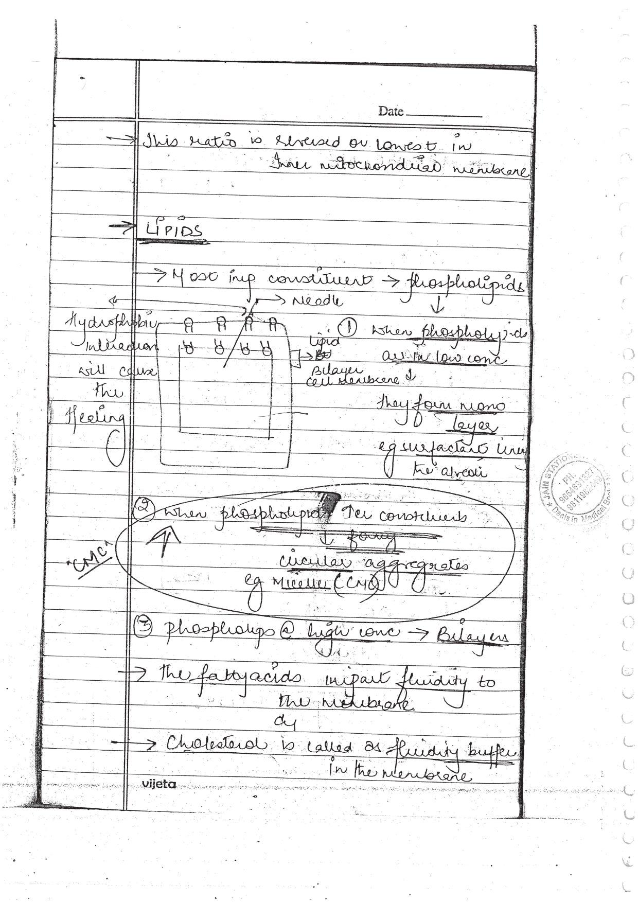 PHYSIOLOGY - BDS Dental Notes - PrintDoc