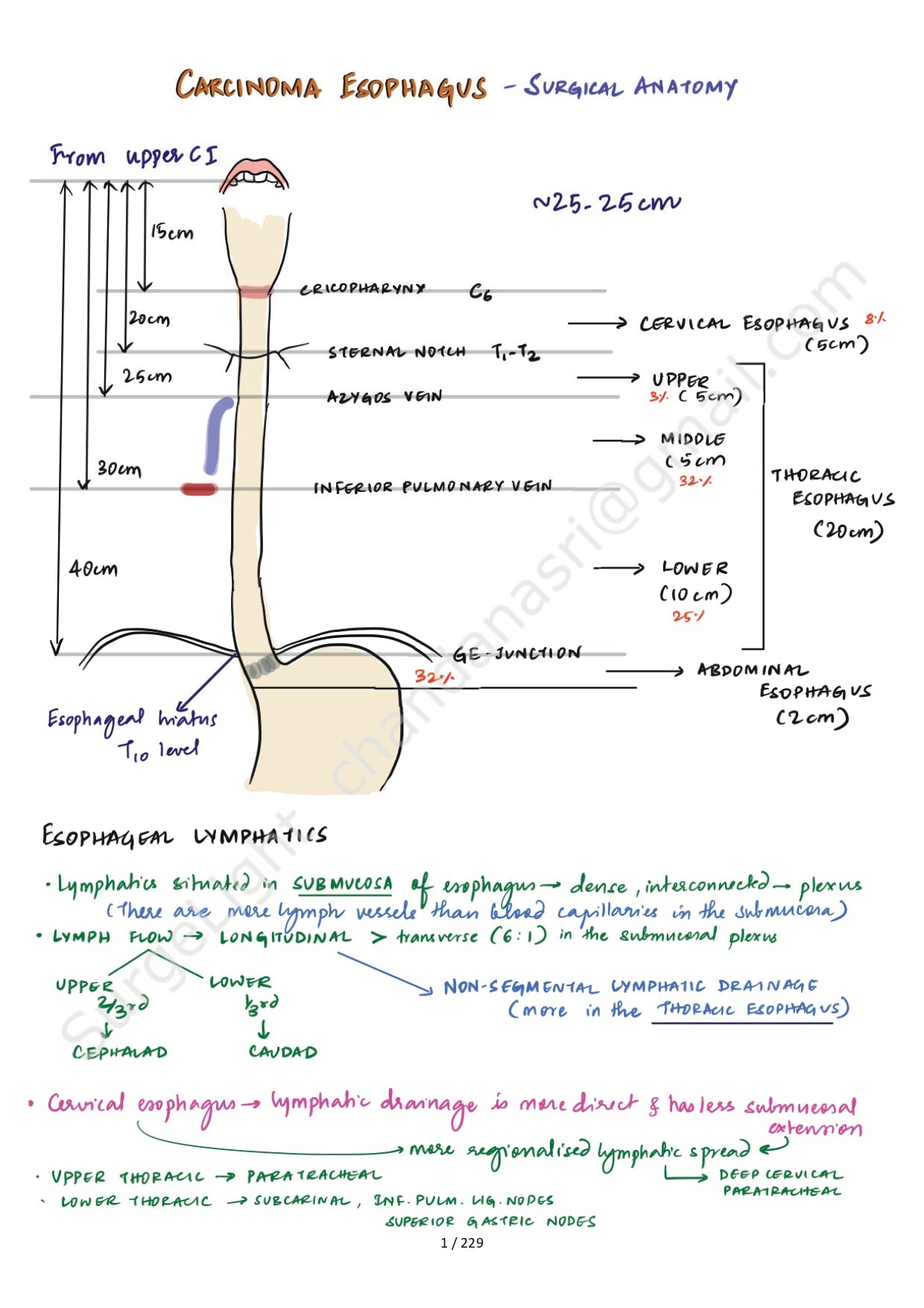 SURGICAL ANATOMY - Surgery Notes GMC - PrintDoc