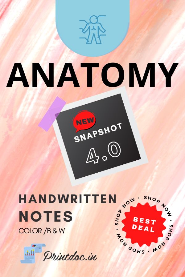 Snapshot 4.0 - ANATOMY - PrintDoc