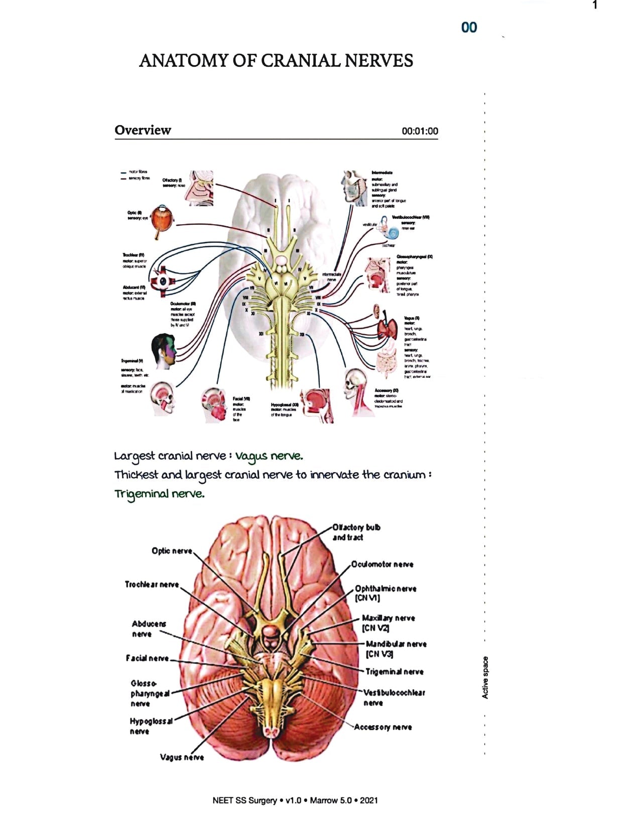 Surgery Neet SS - Neuro Surgery - PrintDoc