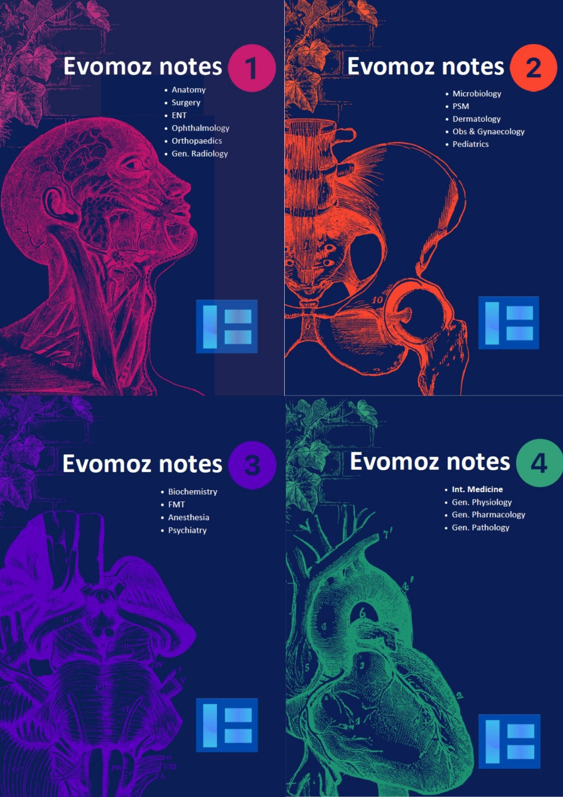 EVOMOZ FULL SET NOTES