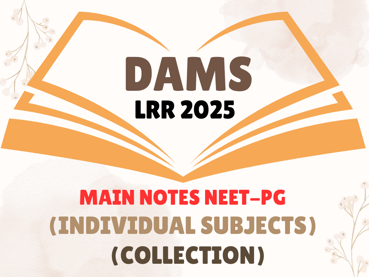 DAMS LRR 2025