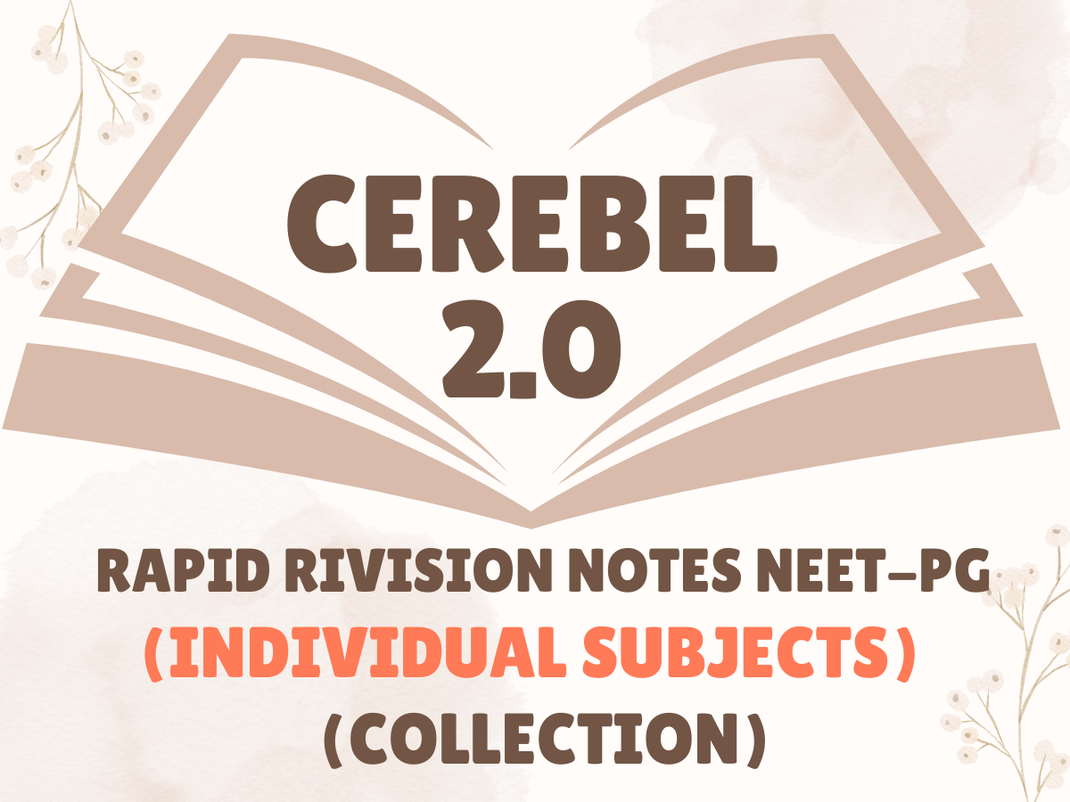 Cerebel 2.0 RR Notes 2024 -2025